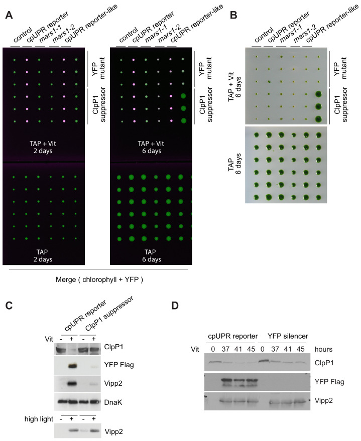 Figure 2—figure supplement 1.