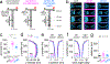 Figure 2 |