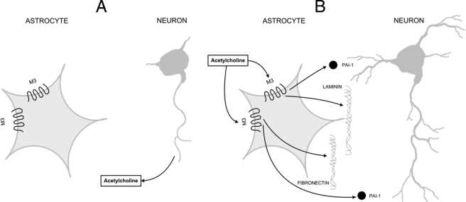 FIGURE 11.