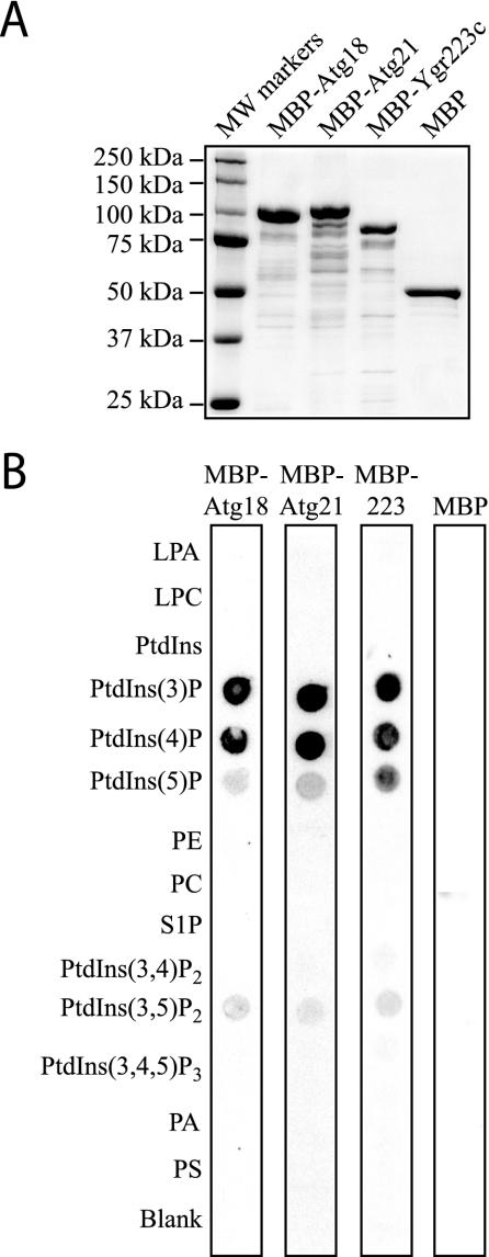 Figure 4.