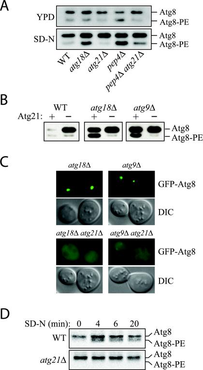 Figure 7.