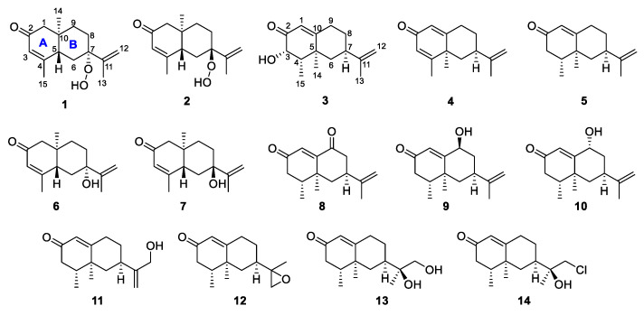 Figure 1