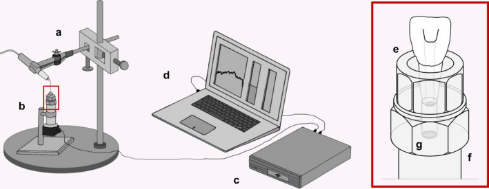 FIGURE 2