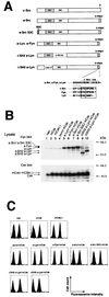 FIG. 1