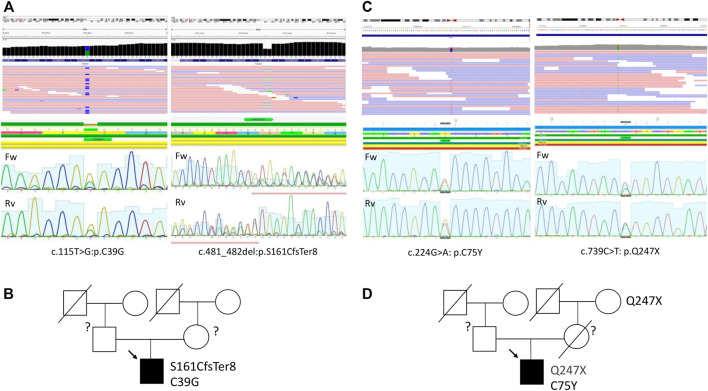 FIGURE 3