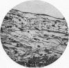 503