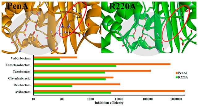 graphic file with name nihms-1724437-f0001.jpg