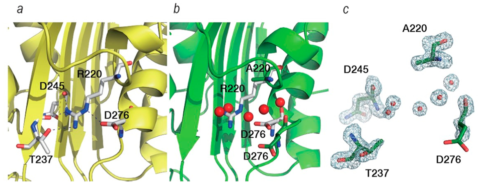 Figure 6.