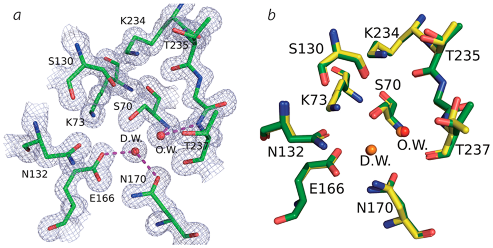 Figure 5.