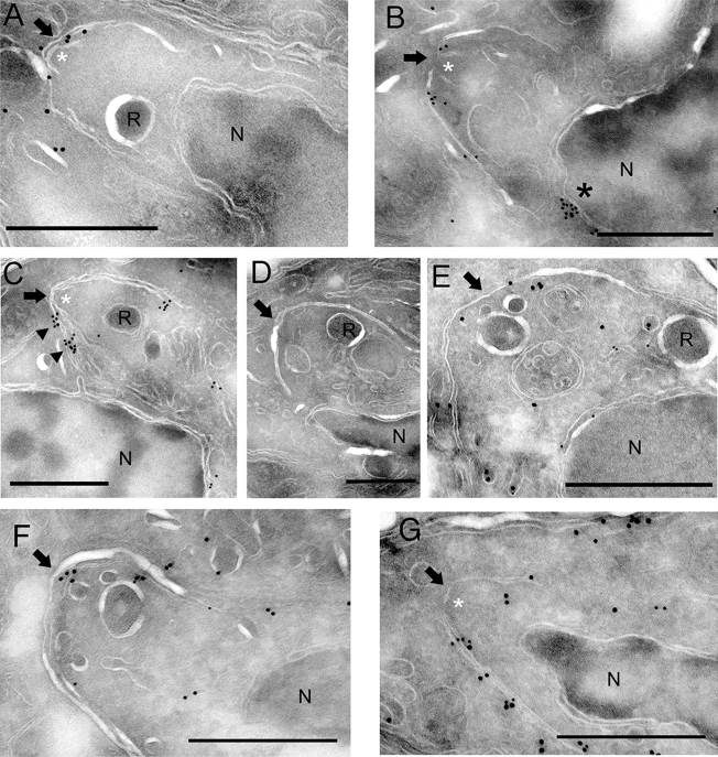 FIG. 7.