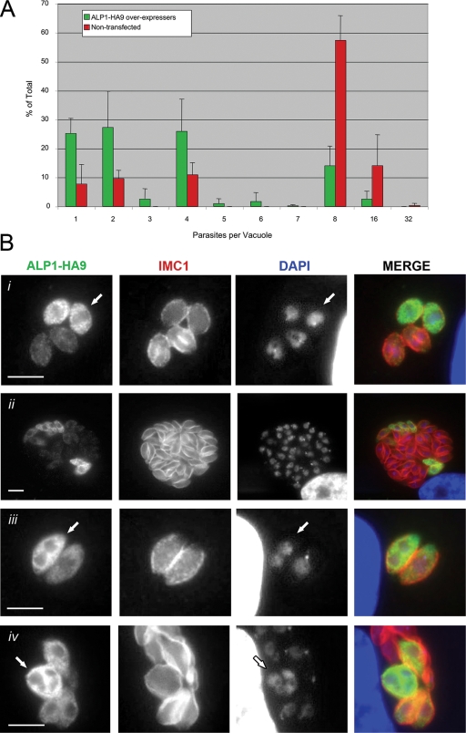 FIG. 8.