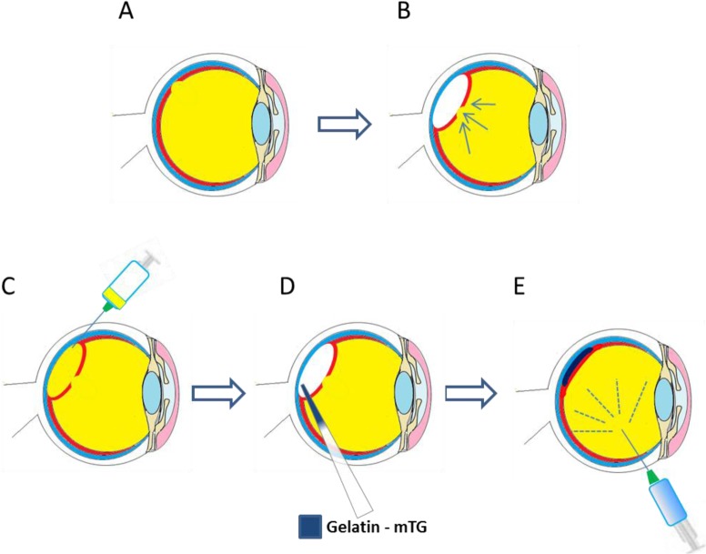 Figure 5.