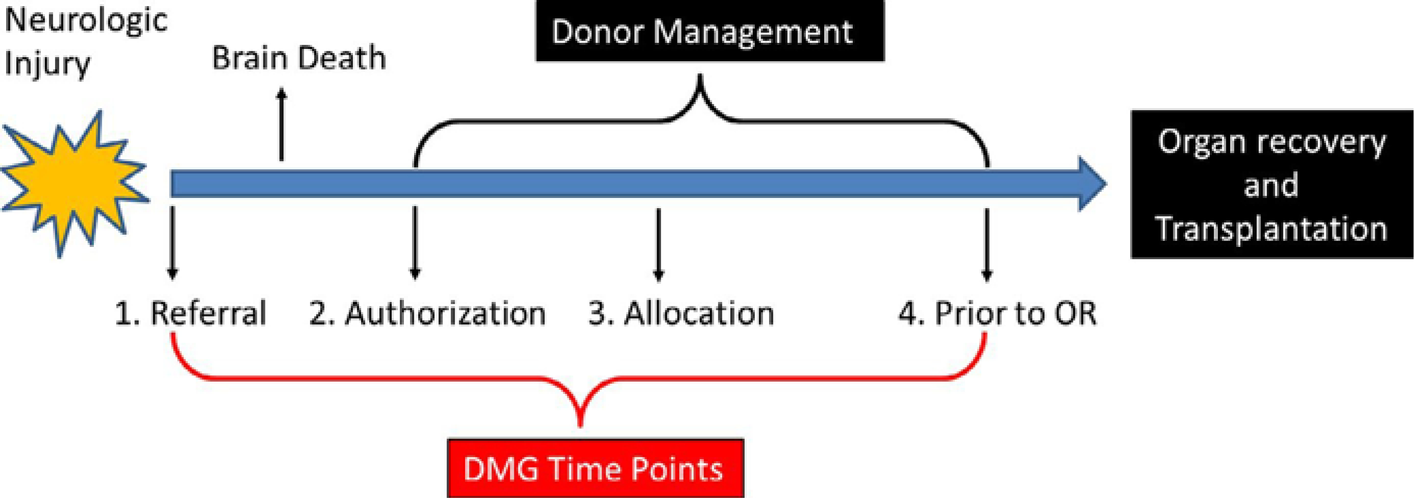 Figure 1: