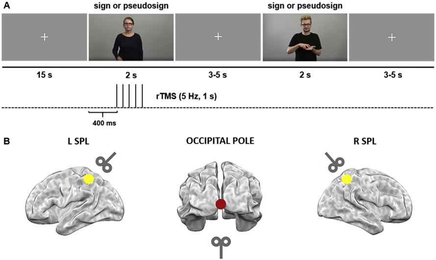 Fig. 1 –