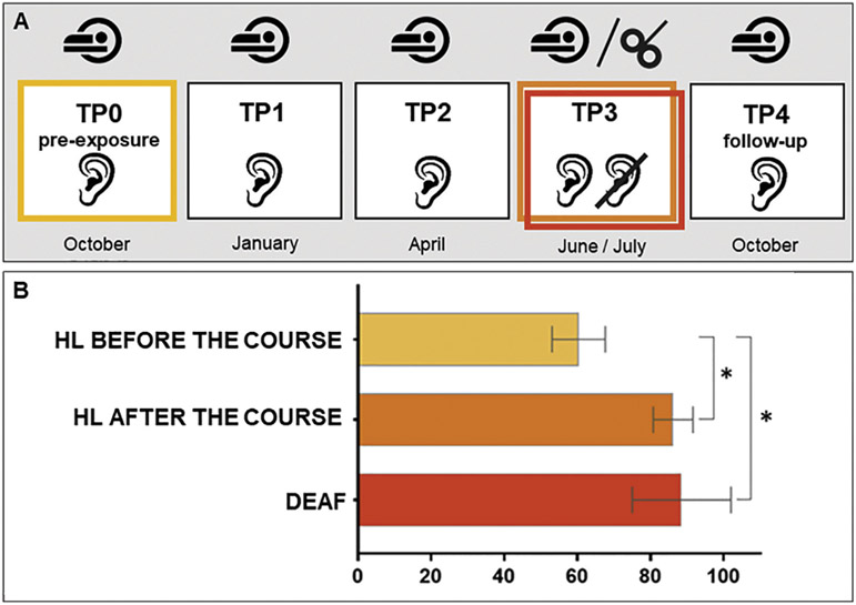 Fig. 2 –