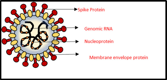 FIGURE 1