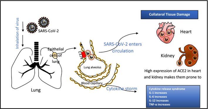 FIGURE 2