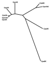 FIG. 6.
