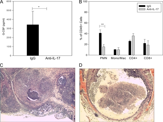 FIG. 12.