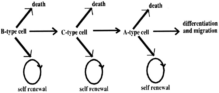 Fig. 10.