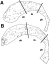 Fig. 5.