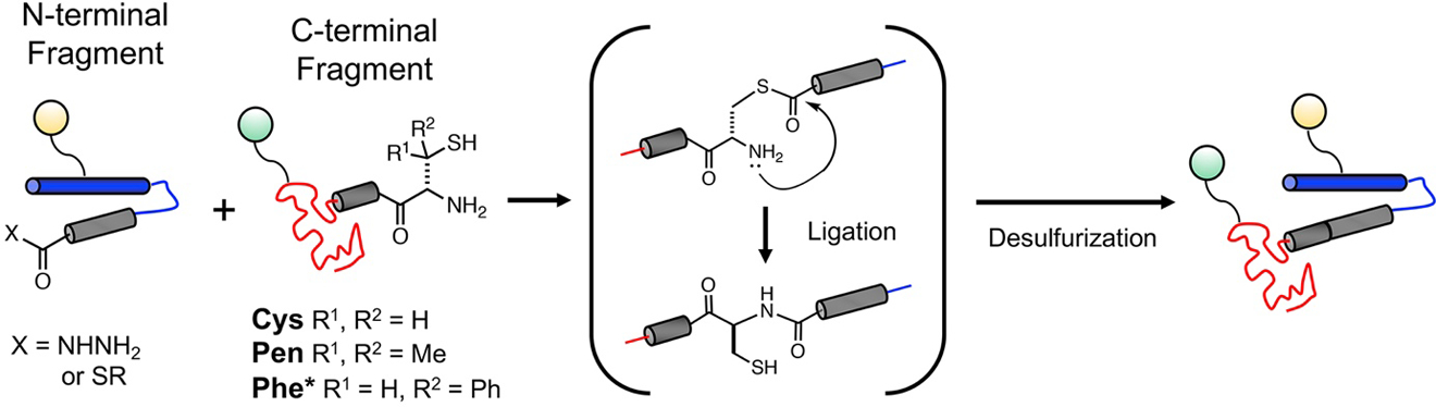 Figure 5.