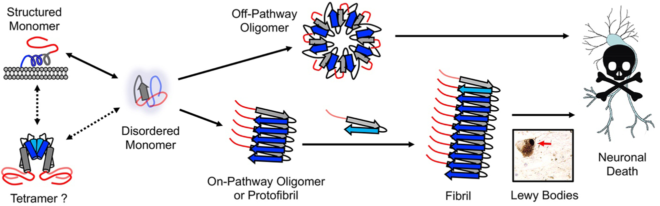 Figure 1.