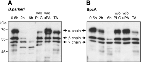 FIG. 9.