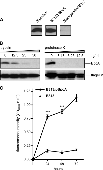 FIG. 10.