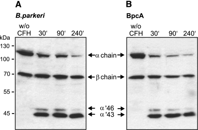 FIG. 8.