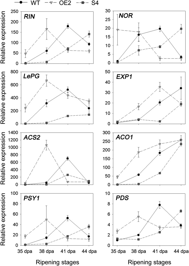 Figure 7.