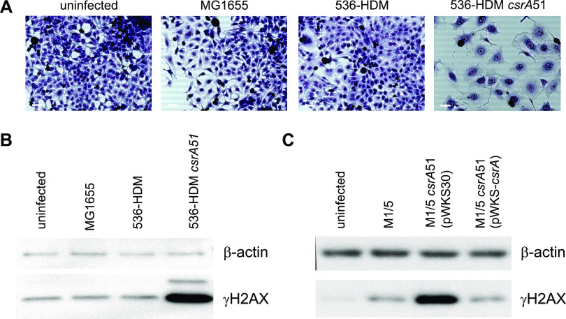 FIG 3