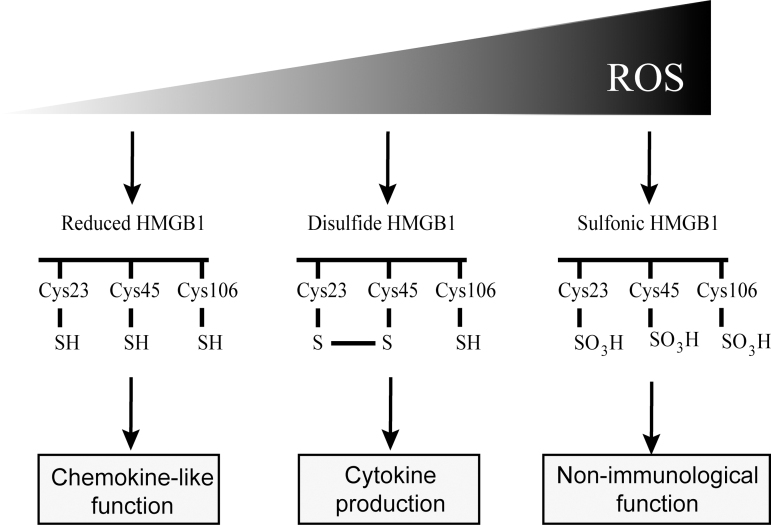 FIG. 3.