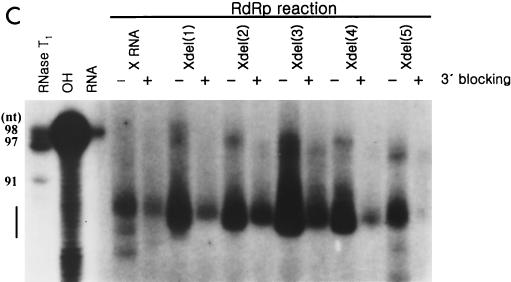 FIG. 7.