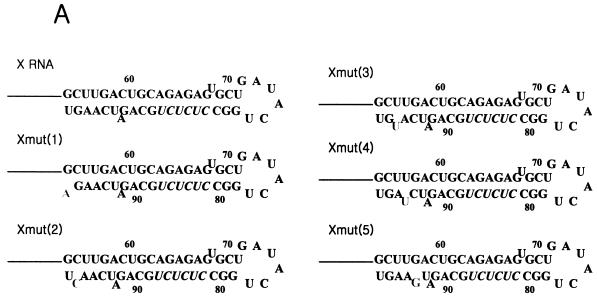 FIG. 9.