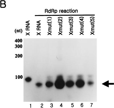 FIG. 9.