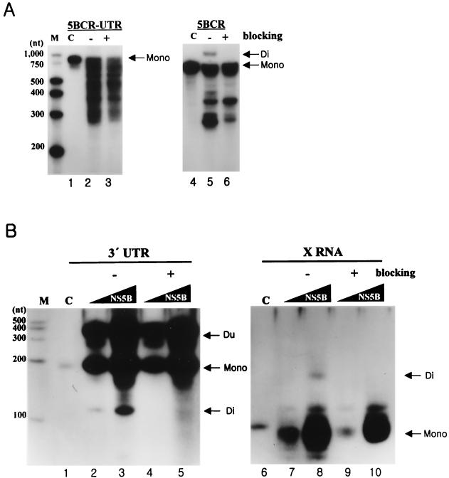 FIG. 5.