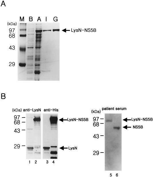 FIG. 2.