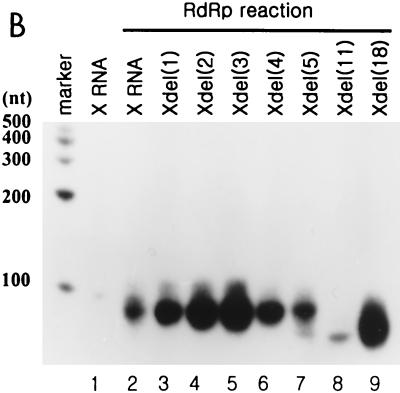 FIG. 7.