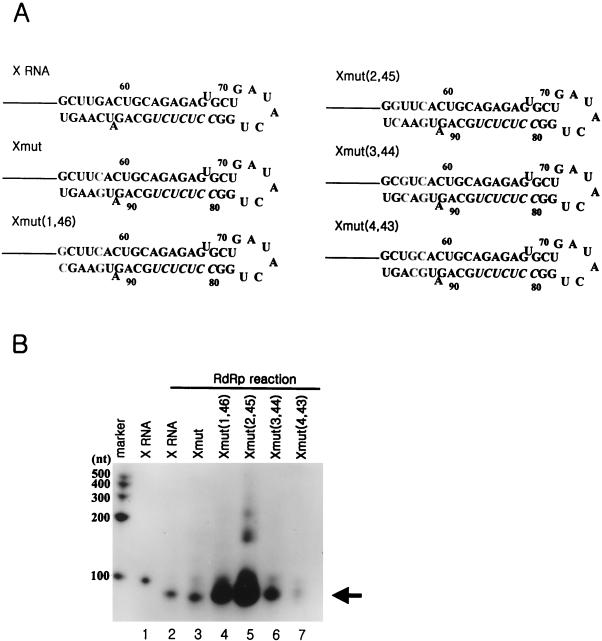 FIG. 8.