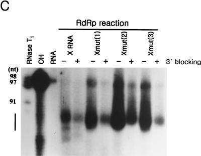 FIG. 9.