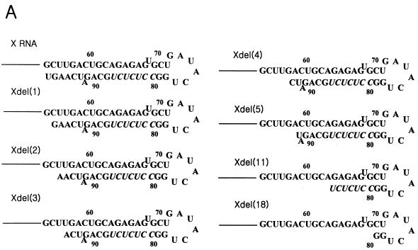 FIG. 7.