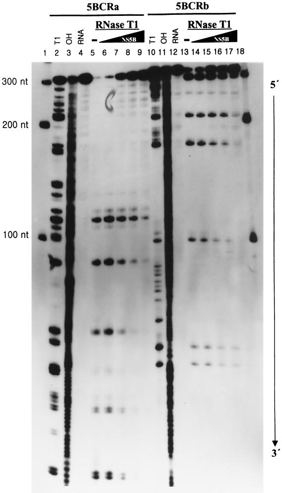 FIG. 4.