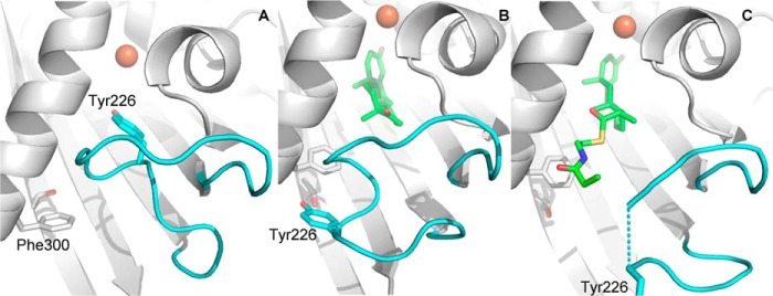 FIGURE 9.