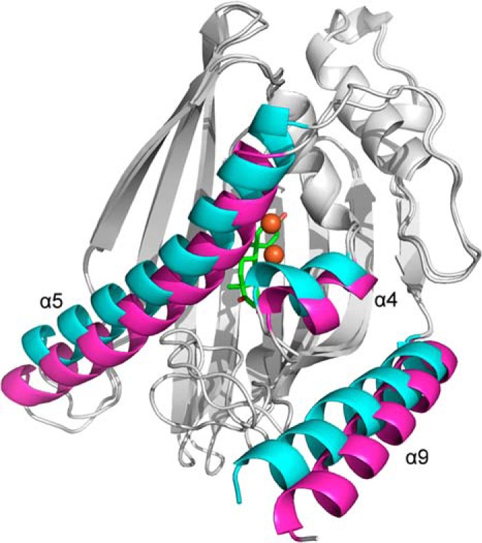 FIGURE 11.