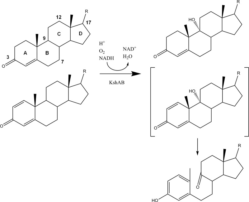 FIGURE 1.