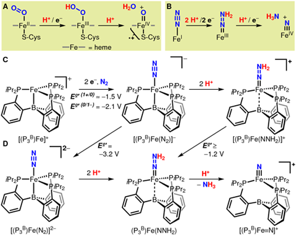 Scheme 1