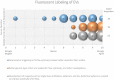 Figure 14.