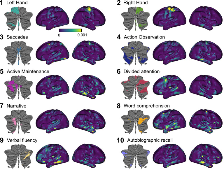 Figure 3—figure supplement 1.