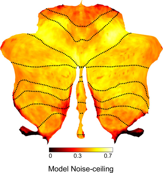 Figure 2—figure supplement 2.